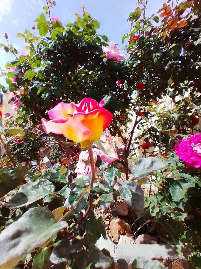 Las/Rosas Orgaz Exterior foto